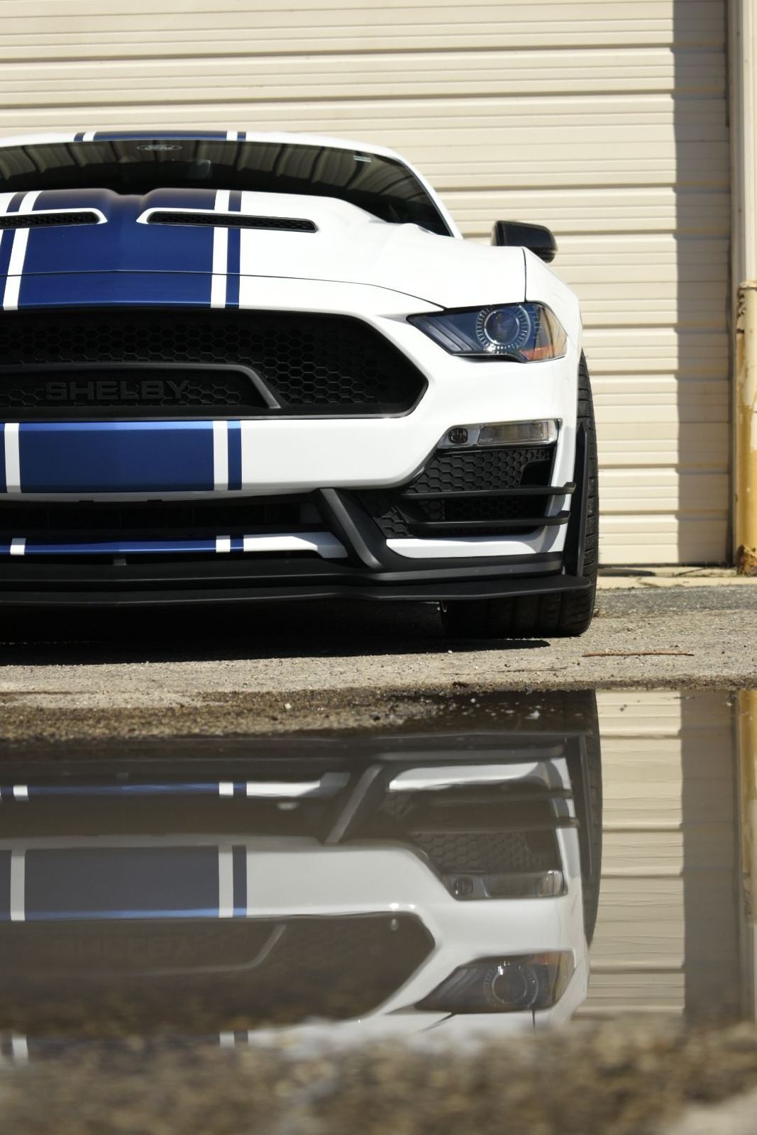Detailed Ford Mustang Shelby with blue racing stripes reflected in a puddle